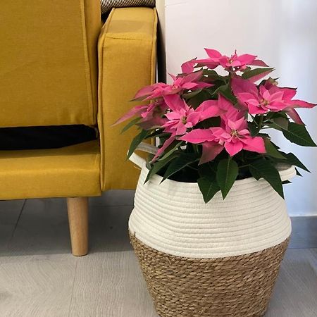 Nuevo Apartamento Folin 唐贝尼托 外观 照片