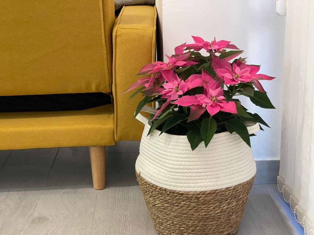 Nuevo Apartamento Folin 唐贝尼托 外观 照片